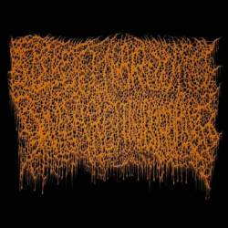 logo Locked In A Room With A Rotting Cadaver